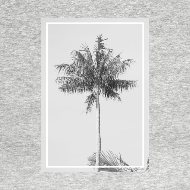 Palm Tree with Border by AKdesign